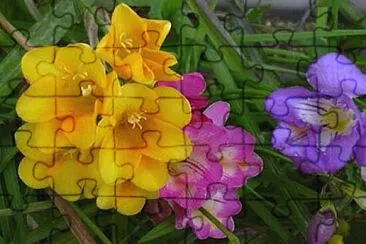 a jigsaw puzzle