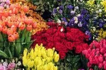 Foto jigsaw puzzle