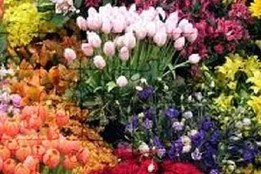 Foto jigsaw puzzle