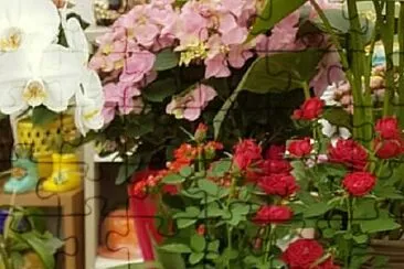 Foto jigsaw puzzle