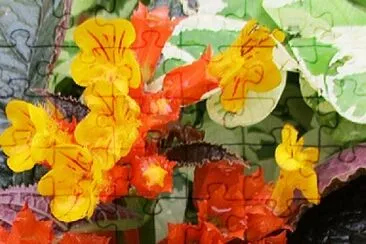 Foto jigsaw puzzle