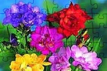 Foto jigsaw puzzle