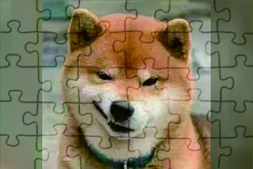 可愛動物 jigsaw puzzle