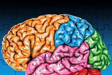  jigsaw puzzle