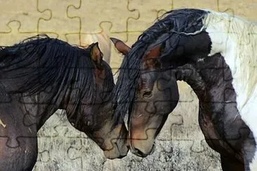 Foto jigsaw puzzle