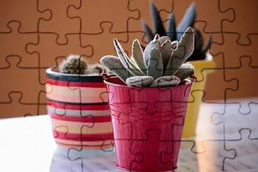 Foto jigsaw puzzle