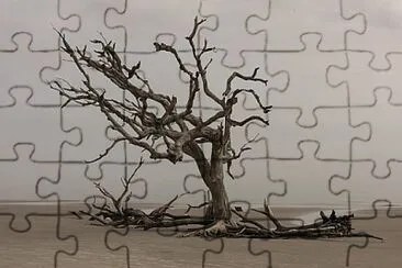 Foto jigsaw puzzle