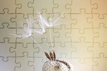 Foto jigsaw puzzle