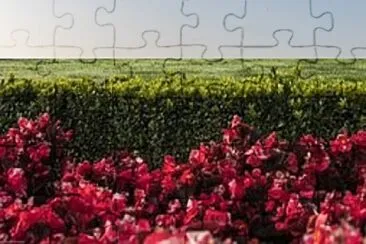 Foto jigsaw puzzle