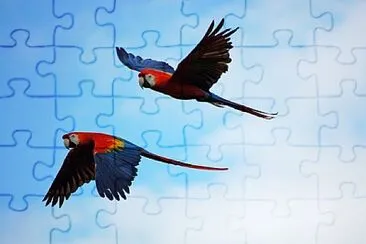 Foto jigsaw puzzle