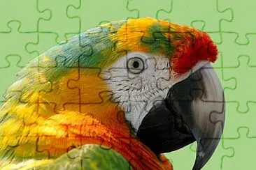 Foto jigsaw puzzle