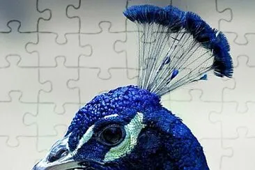 Foto jigsaw puzzle