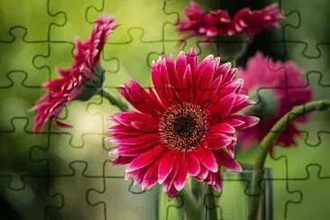 Foto jigsaw puzzle