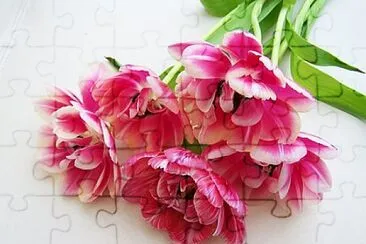 Foto jigsaw puzzle