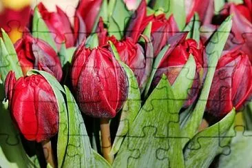 Foto jigsaw puzzle