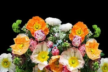 Foto jigsaw puzzle