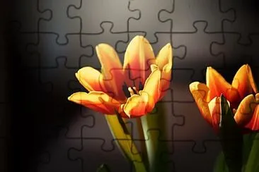Foto jigsaw puzzle