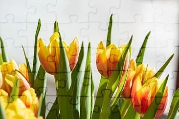Foto jigsaw puzzle