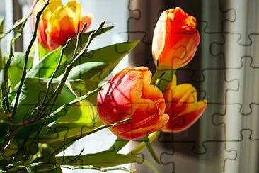 Foto jigsaw puzzle
