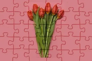 Foto jigsaw puzzle