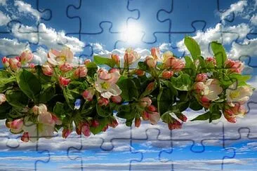 Foto jigsaw puzzle