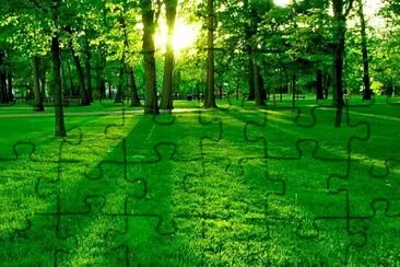 Foto jigsaw puzzle