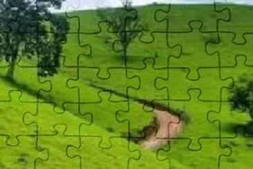 Foto jigsaw puzzle