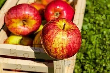 Foto jigsaw puzzle