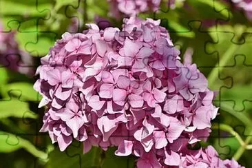 Foto jigsaw puzzle