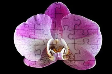 Foto jigsaw puzzle