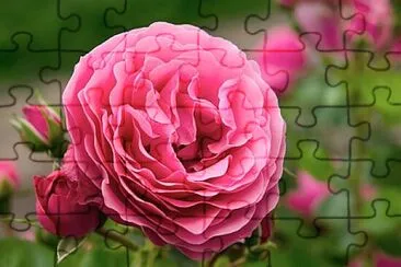 Foto jigsaw puzzle