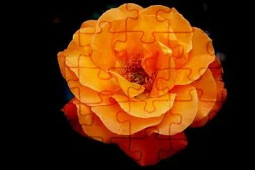 Foto jigsaw puzzle
