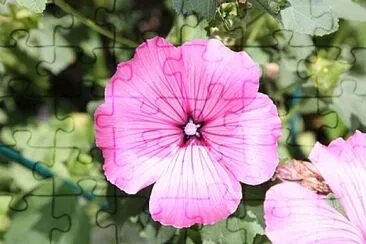 Foto jigsaw puzzle