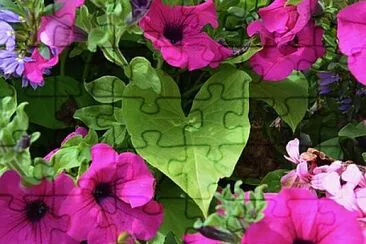 Foto jigsaw puzzle