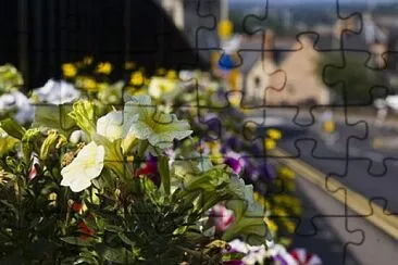 Foto jigsaw puzzle