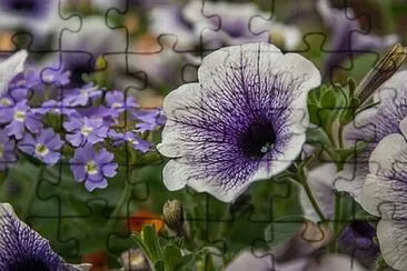 Foto jigsaw puzzle