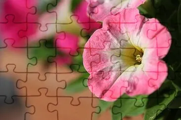 Foto jigsaw puzzle