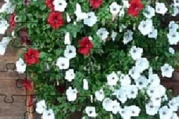 Foto jigsaw puzzle