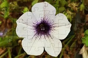 Foto jigsaw puzzle