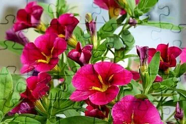 Foto jigsaw puzzle
