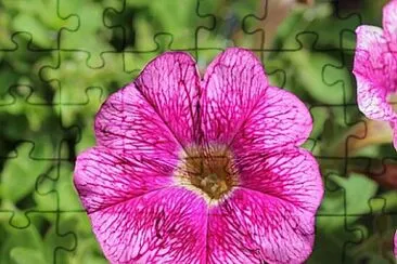 Foto jigsaw puzzle