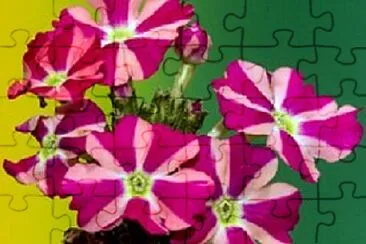 Foto jigsaw puzzle