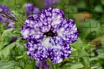 Foto jigsaw puzzle