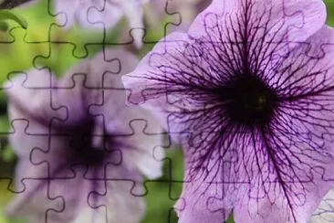 Foto jigsaw puzzle