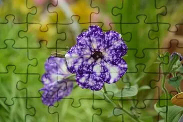 Foto jigsaw puzzle