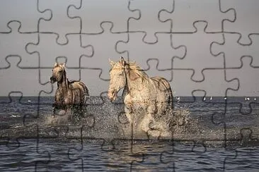 Foto jigsaw puzzle
