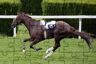 Foto jigsaw puzzle