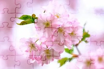  jigsaw puzzle