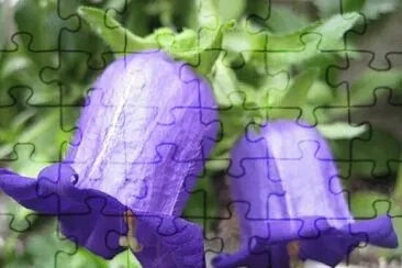  jigsaw puzzle