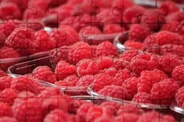 Foto jigsaw puzzle